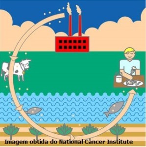 dioxins_graphic National cancer institute2